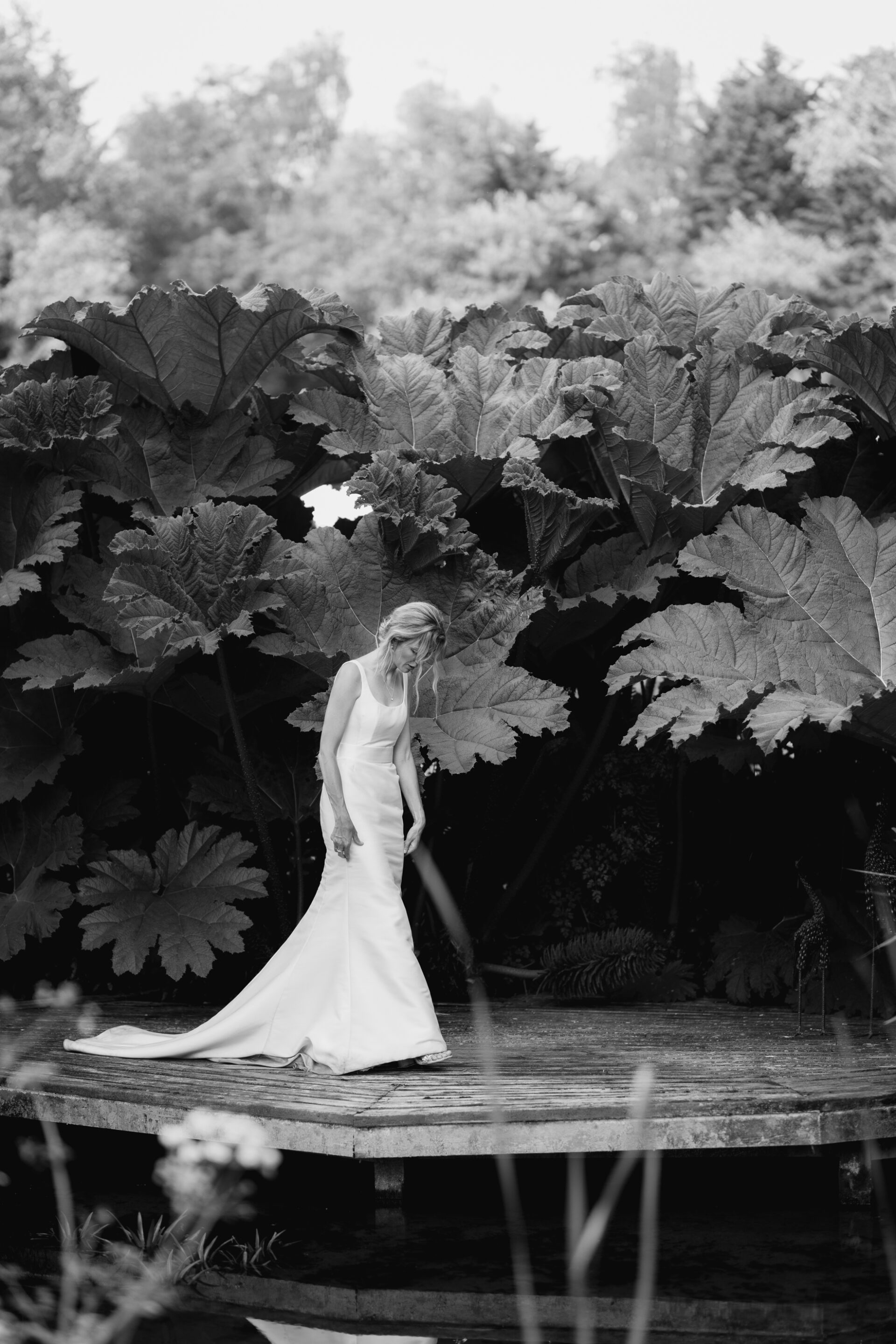 The bride pauses amongst the foliage at her Devon wedding